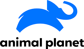 Logo canal